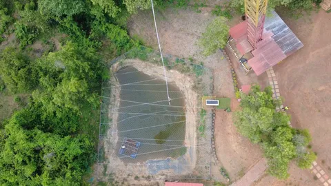 Bungee Jumping (North) by Indya Bungy, North Goa - photo 3