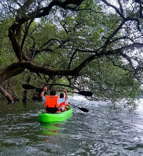 Mangrove Kayaking and Boating at Private Island in Goa package