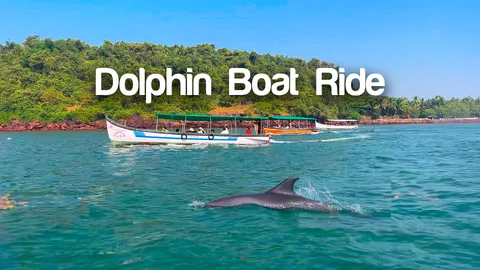 dolphine boat ride.jpg