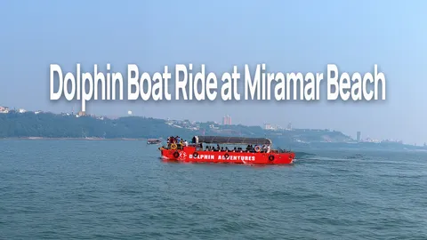 dolphine boat ride miramar.jpg