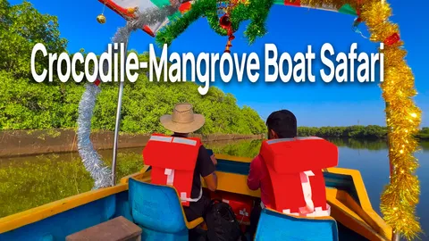 crocodile boat safari.jpg