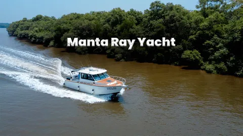 manta ray thumbnail.png